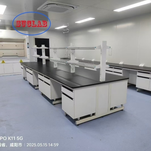 Laatste bedrijf oplossingen over Custom Steel Wood Lab Casework voor Mr.Tar Client in de Volksrepubliek Mongolië in 2024