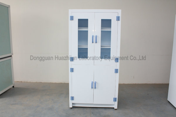 Het dubbele Kabinet van de Deuren Corrosieve die Opslag in China voor het Kabinet van de Laboratoriumgeneeskunde wordt gemaakt 0