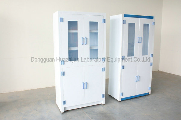 Het dubbele Kabinet van de Deuren Corrosieve die Opslag in China voor het Kabinet van de Laboratoriumgeneeskunde wordt gemaakt 1