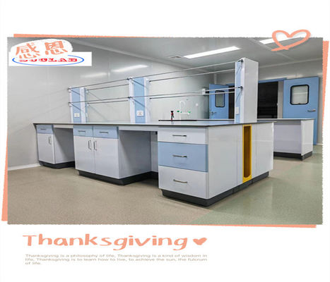 Goede prijs Gecustomiseerd Lab Island Bench Export Plywood Package For Lab Furniture Modulaire structuur online