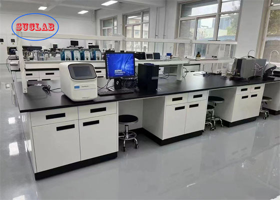 Goede prijs Multifunctionele laboratoriumbank Maleisië met spatsbestendige stopcontact en PP/keramische/epoxyhars wasbak online