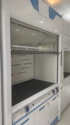 Goede prijs Customizable Automatic Sash Closure System Fume Hood for American Clients Mr.. Khoa online