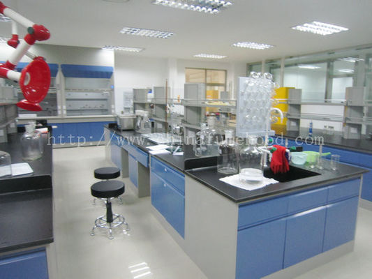 Goede prijs De Lijsten van het staallaboratorium en Banken/de Lijsten/de Lijstenleverancier van het Laboratoriuminstrument van het Laboratoriumeiland online
