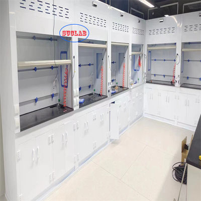 Goede prijs Microcomputerbesturingssysteem Chemische rookkap Laboratorium rookkast Wandmontage Installatie type online