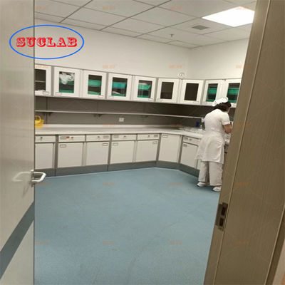 Goede prijs Rectangular Chemistry Lab Bench Laboratory Benches and Cabinets for Hospital Laboratories with Base Cabinet (Rectangular Chemistry Lab Bench) Laboratoriële banken en kasten voor ziekenhuislaboratoria met basiskasten online