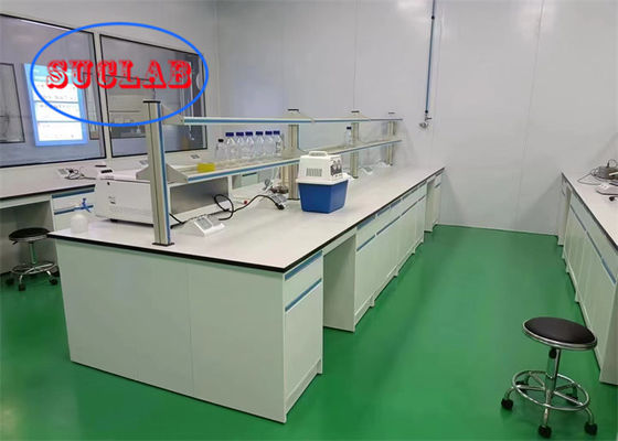Goede prijs Custom Color Indonesië Steel Lab Bench met opslag OEM ODM Server Type voor ziekenhuis & school online