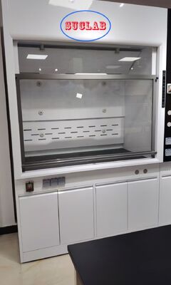 Goede prijs Custom Laboratory Fume Hood Manufacturers With Strong Powerful Ventilation System Ideal for Laboratory Chemical Fume Extraction online